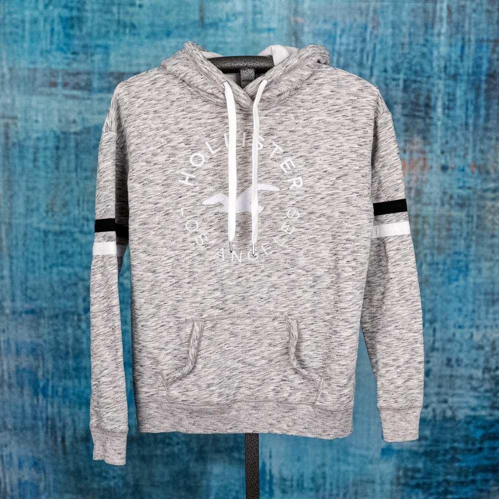 Hollister Pullover Hoodie Seagull Embroidered Spellout MEDIUM Soft Stripe Sleeve
